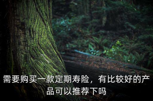 需要購(gòu)買(mǎi)一款定期壽險(xiǎn)，有比較好的產(chǎn)品可以推薦下嗎