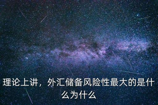 理論上講，外匯儲(chǔ)備風(fēng)險(xiǎn)性最大的是什么為什么