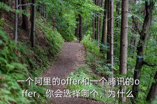 一個阿里的offer和一個騰訊的offer，你會選擇哪個，為什么