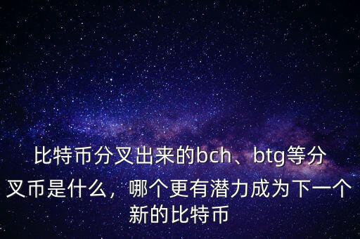 比特幣分叉出來的bch、btg等分叉幣是什么，哪個(gè)更有潛力成為下一個(gè)新的比特幣