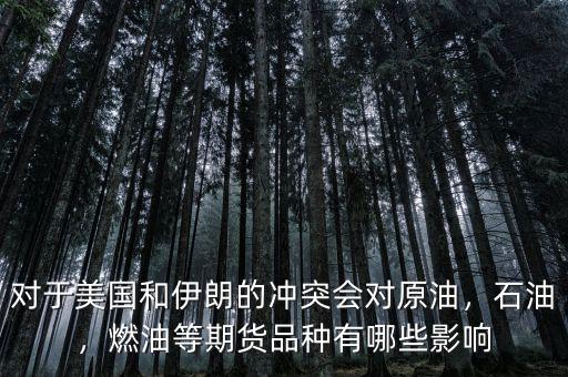 對(duì)于美國(guó)和伊朗的沖突會(huì)對(duì)原油，石油，燃油等期貨品種有哪些影響