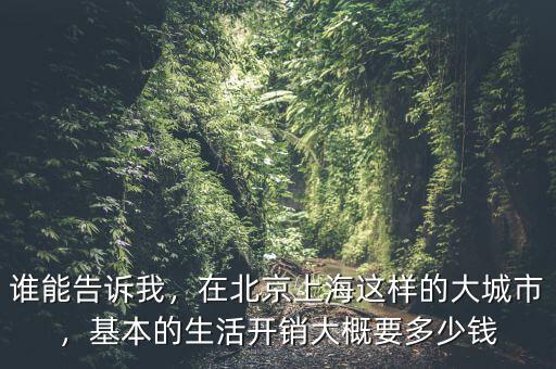 誰能告訴我，在北京上海這樣的大城市，基本的生活開銷大概要多少錢