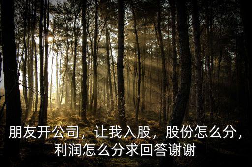 朋友開公司，讓我入股，股份怎么分，利潤怎么分求回答謝謝