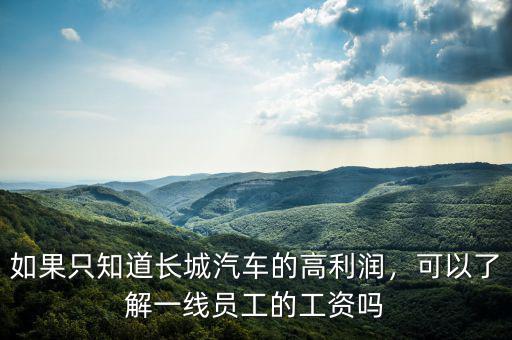 如果只知道長城汽車的高利潤，可以了解一線員工的工資嗎