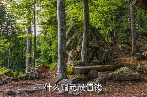 古錢幣上面寫(xiě)什么值錢圖片,這是個(gè)什么古錢幣