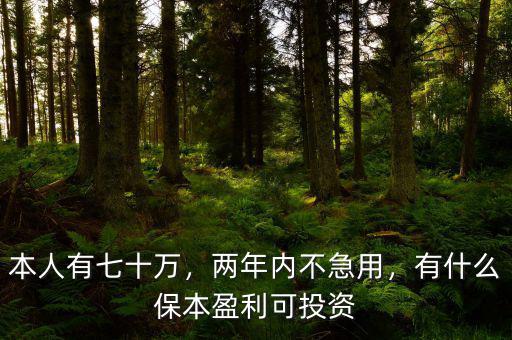 有什么投資本錢(qián)不虧可以拿利息,100萬(wàn)投資什么項(xiàng)目