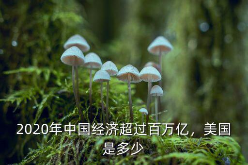 2020年中國經(jīng)濟超過百萬億，美國是多少