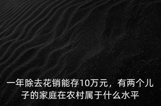 一年除去花銷能存10萬元，有兩個(gè)兒子的家庭在農(nóng)村屬于什么水平