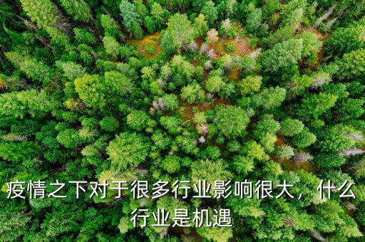 疫情之下對于很多行業(yè)影響很大，什么行業(yè)是機遇