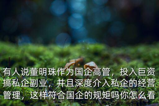 有人說(shuō)董明珠作為國(guó)企高管，投入巨資搞私企副業(yè)，并且深度介入私企的經(jīng)營(yíng)管理，這樣符合國(guó)企的規(guī)矩嗎你怎么看