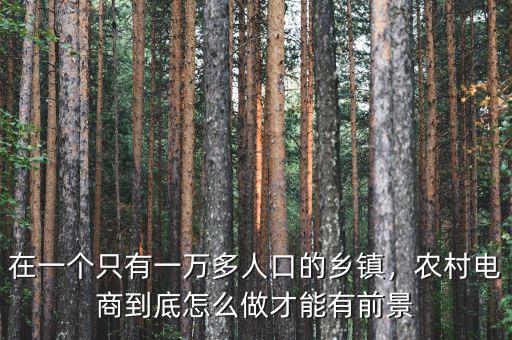 在一個(gè)只有一萬(wàn)多人口的鄉(xiāng)鎮(zhèn)，農(nóng)村電商到底怎么做才能有前景