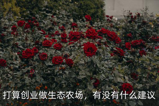 打算創(chuàng)業(yè)做生態(tài)農(nóng)場(chǎng)，有沒(méi)有什么建議