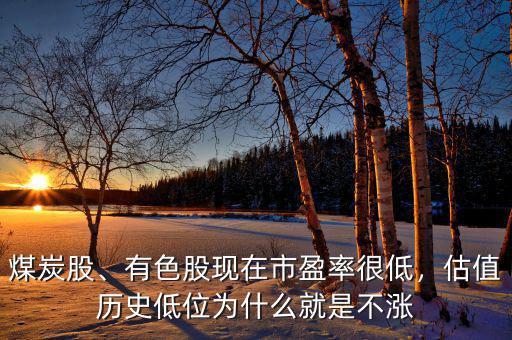 煤炭股、有色股現(xiàn)在市盈率很低，估值歷史低位為什么就是不漲