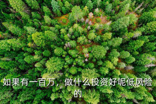 如果有一百萬(wàn)，做什么投資好呢低風(fēng)險(xiǎn)的
