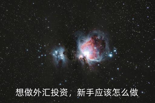 想做外匯投資，新手應(yīng)該怎么做