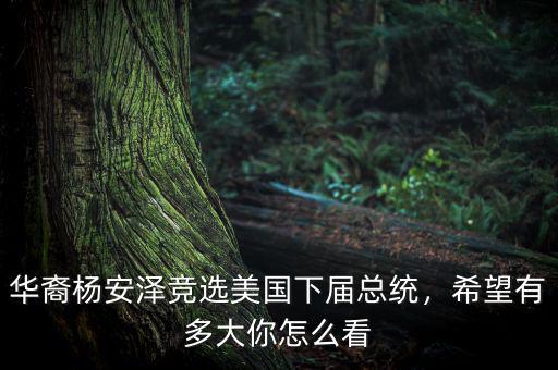 華裔楊安澤競選美國下屆總統(tǒng)，希望有多大你怎么看