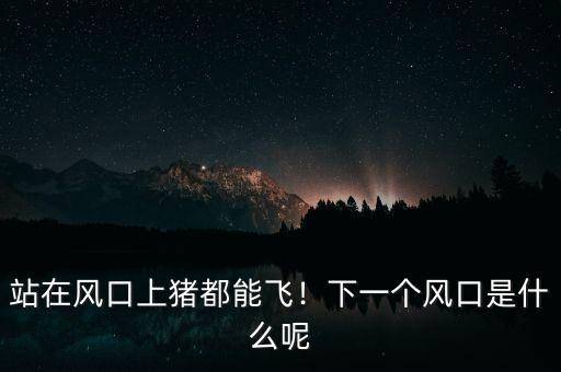 站在風(fēng)口上豬都能飛！下一個(gè)風(fēng)口是什么呢
