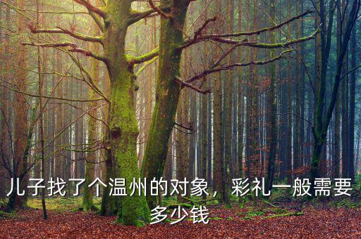 兒子找了個溫州的對象，彩禮一般需要多少錢