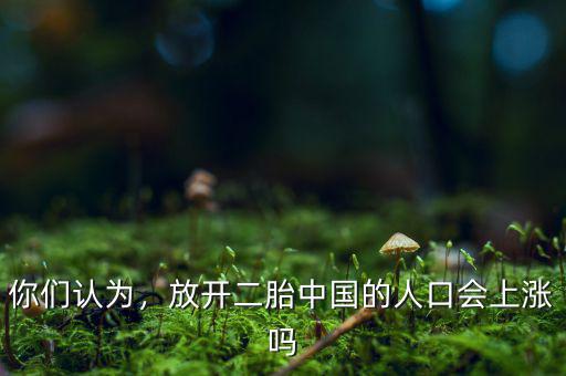 你們認(rèn)為，放開(kāi)二胎中國(guó)的人口會(huì)上漲嗎