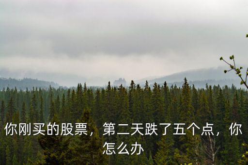 你剛買的股票，第二天跌了五個點，你怎么辦