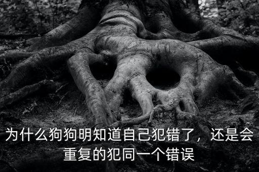 為什么狗狗明知道自己犯錯了，還是會重復(fù)的犯同一個錯誤