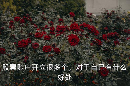 股票賬戶開立很多個(gè)，對(duì)于自己有什么好處
