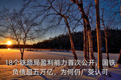18個鐵路局盈利能力首次公開，國鐵負(fù)債超五萬億，為何仍廣受認(rèn)可