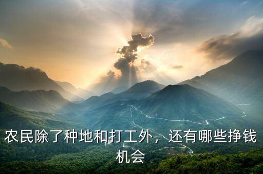 農(nóng)民除了種地和打工外，還有哪些掙錢(qián)機(jī)會(huì)
