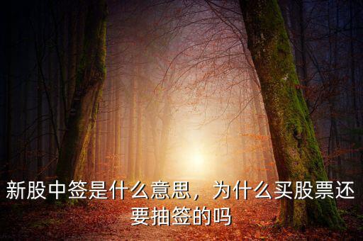 新股中簽是什么意思，為什么買股票還要抽簽的嗎
