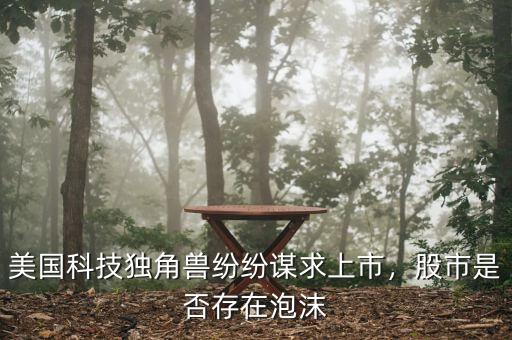 美國(guó)科技獨(dú)角獸紛紛謀求上市，股市是否存在泡沫
