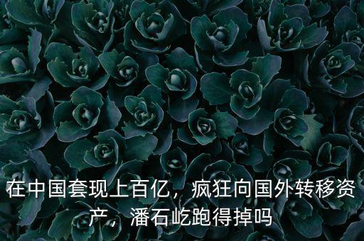 在中國(guó)套現(xiàn)上百億，瘋狂向國(guó)外轉(zhuǎn)移資產(chǎn)，潘石屹跑得掉嗎