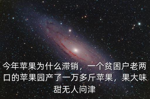 今年蘋果為什么滯銷，一個貧困戶老兩口的蘋果園產了一萬多斤蘋果，果大味甜無人問津