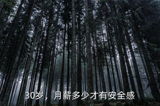 30歲，月薪多少才有安全感