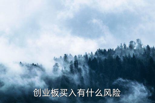 創(chuàng)業(yè)板買入有什么風險