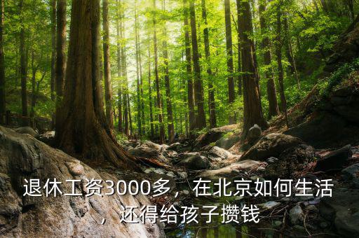退休工資3000多，在北京如何生活，還得給孩子攢錢