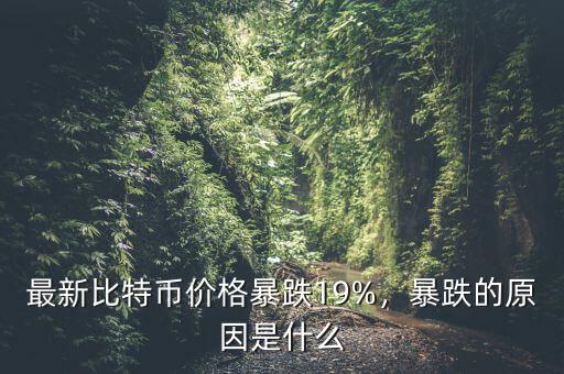 最新比特幣價格暴跌19%，暴跌的原因是什么
