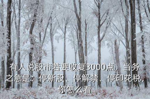 有人說股市若要收復(fù)3000點(diǎn)，當(dāng)務(wù)之急是：停新股、停解禁、停印花稅，你怎么看