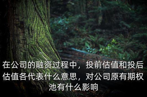 在公司的融資過程中，投前估值和投后估值各代表什么意思，對(duì)公司原有期權(quán)池有什么影響
