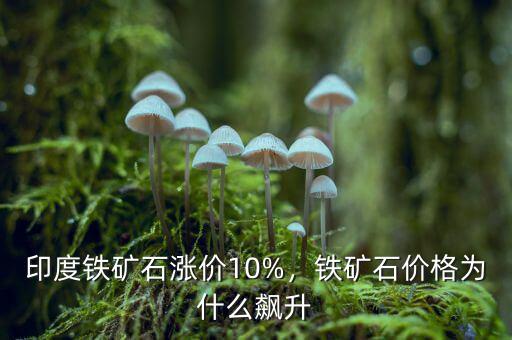 印度鐵礦石漲價10%，鐵礦石價格為什么飆升