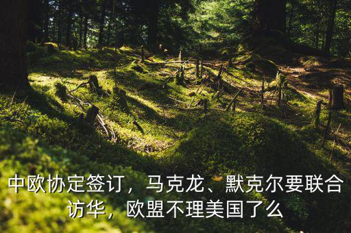 中歐協(xié)定簽訂，馬克龍、默克爾要聯(lián)合訪華，歐盟不理美國了么