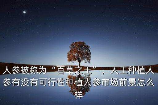 人參被稱為“百草之王”，人工種植人參有沒有可行性種植人參市場前景怎么樣