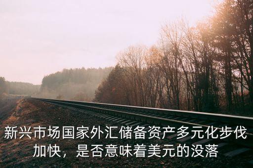新興市場(chǎng)國(guó)家外匯儲(chǔ)備資產(chǎn)多元化步伐加快，是否意味著美元的沒(méi)落