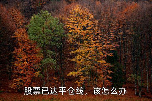 股票已達(dá)平倉(cāng)線，該怎么辦