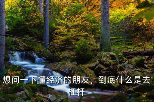 想問一下懂經(jīng)濟的朋友，到底什么是去杠桿