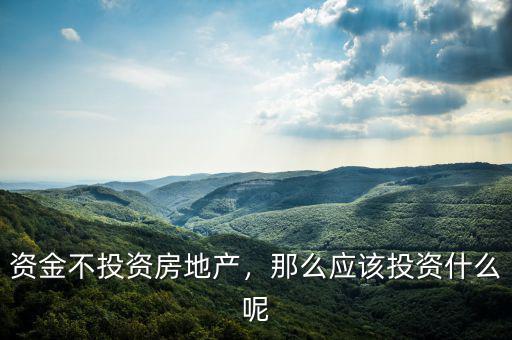 資金不投資房地產(chǎn)，那么應(yīng)該投資什么呢