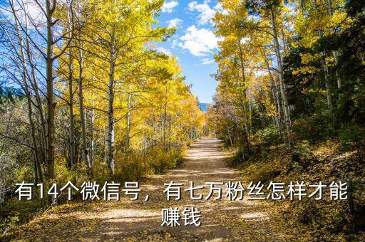 有14個(gè)微信號(hào)，有七萬(wàn)粉絲怎樣才能賺錢(qián)