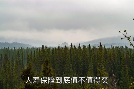 人壽保險(xiǎn)到底值不值得買(mǎi)