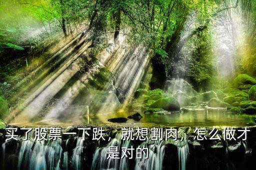 買了股票一下跌，就想割肉，怎么做才是對的