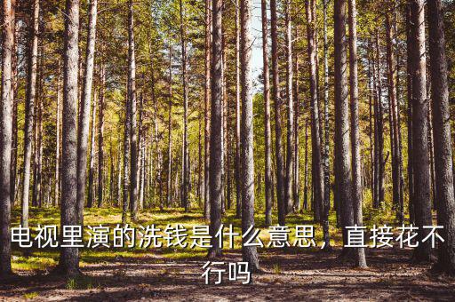 電視里演的洗錢是什么意思，直接花不行嗎