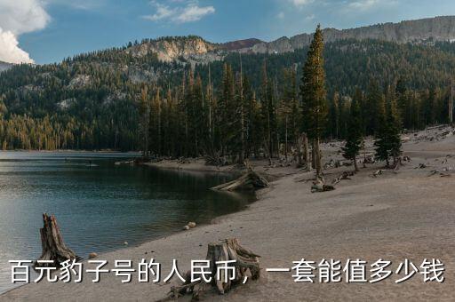 百元豹子號(hào)的人民幣，一套能值多少錢(qián)